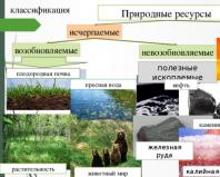 Report protection and rational use of plant and animal resources Protection and rational use of plants presentation