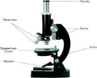 Laboratory work “Design of magnifying devices and rules for working with them